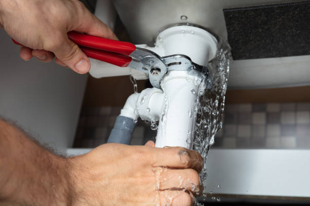 Best Sewage cleanup and water damage restoration  in Rockwood, TN
