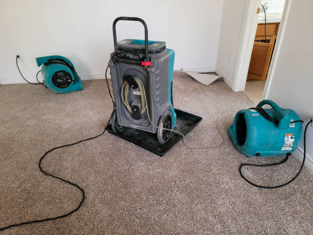 Best Flood restoration services  in Rockwood, TN