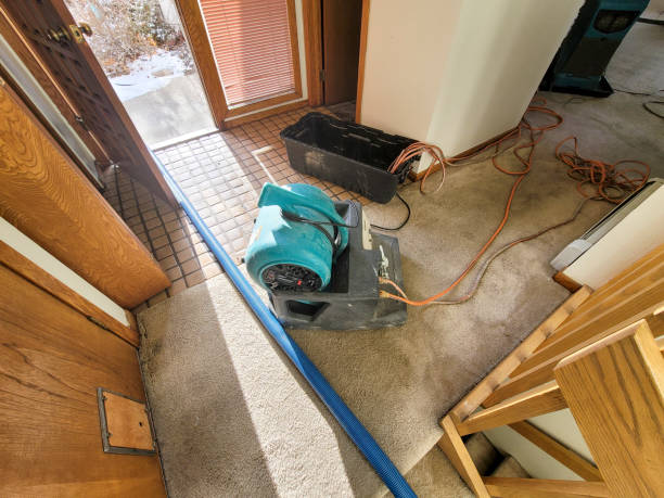 Best Water damage restoration near me  in Rockwood, TN